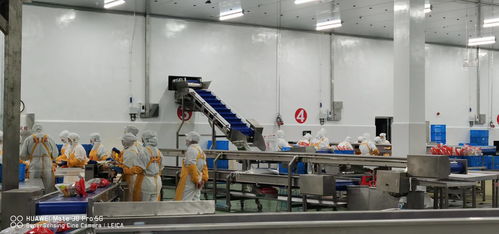 新時(shí)期中國物流冷庫項(xiàng)目 庫體保溫 制冷系統(tǒng)設(shè)計(jì)與設(shè)備選擇