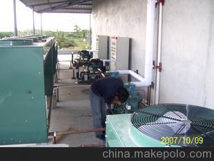 【設(shè)計(jì)新穎】冷庫(kù)安裝 制冷設(shè)備安裝【科學(xué)保證 值得信賴】圖片,【設(shè)計(jì)新穎】冷庫(kù)安裝 制冷設(shè)備安裝【科學(xué)保證 值得信賴】圖片大全,鹽城紅雨制冷設(shè)備工程-